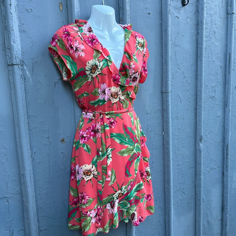 Aritzia Sunday Best Savoy Dress Gemini pink. size 6