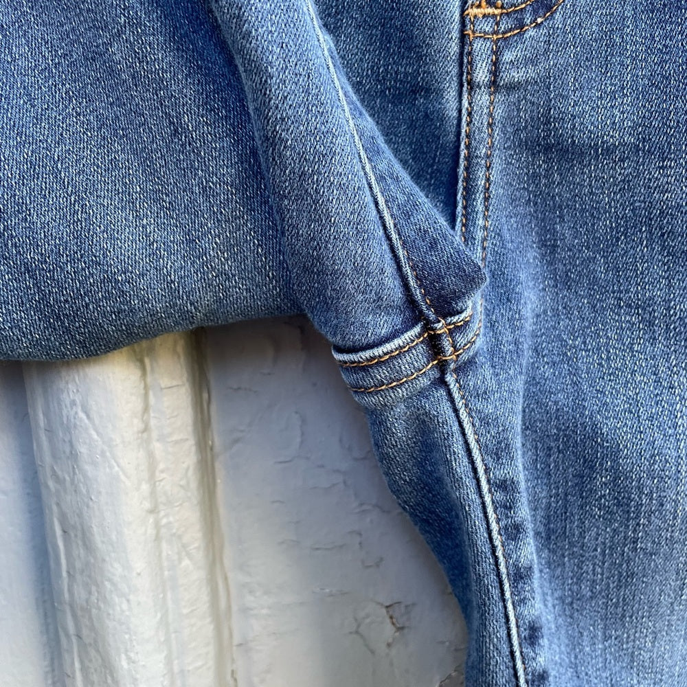 Denim Forum The Lola High Rise Skinny, size 27