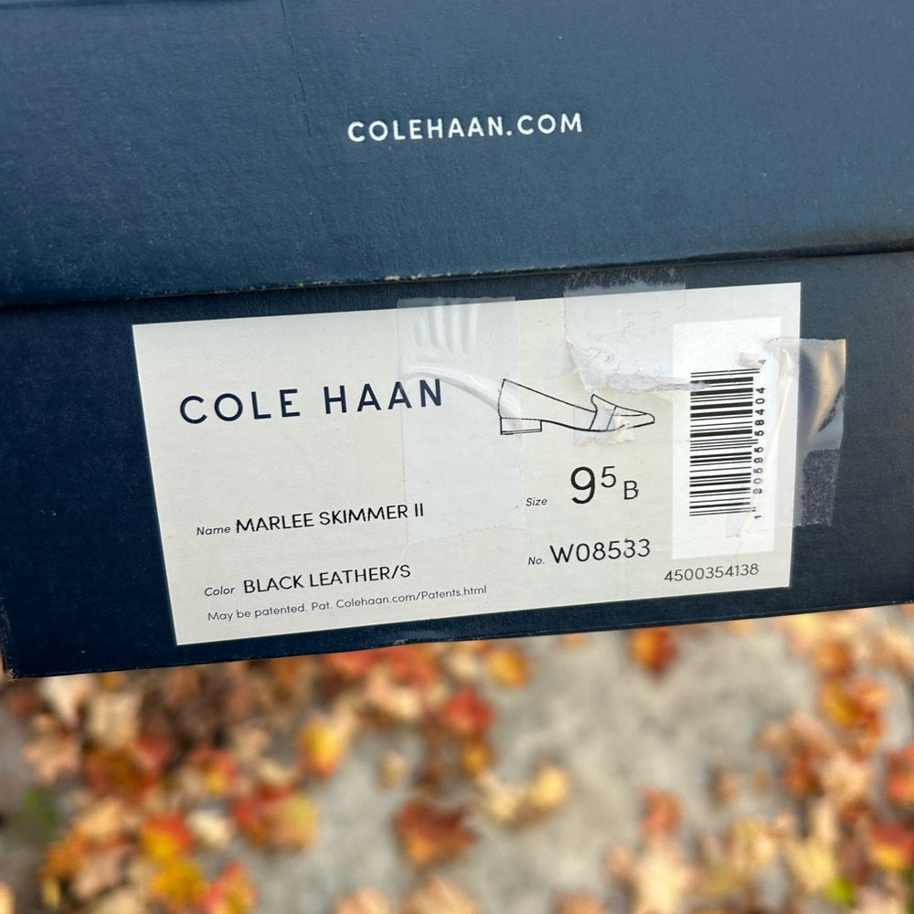 Cole Haan Marlee Skimmer flats, size 9.5