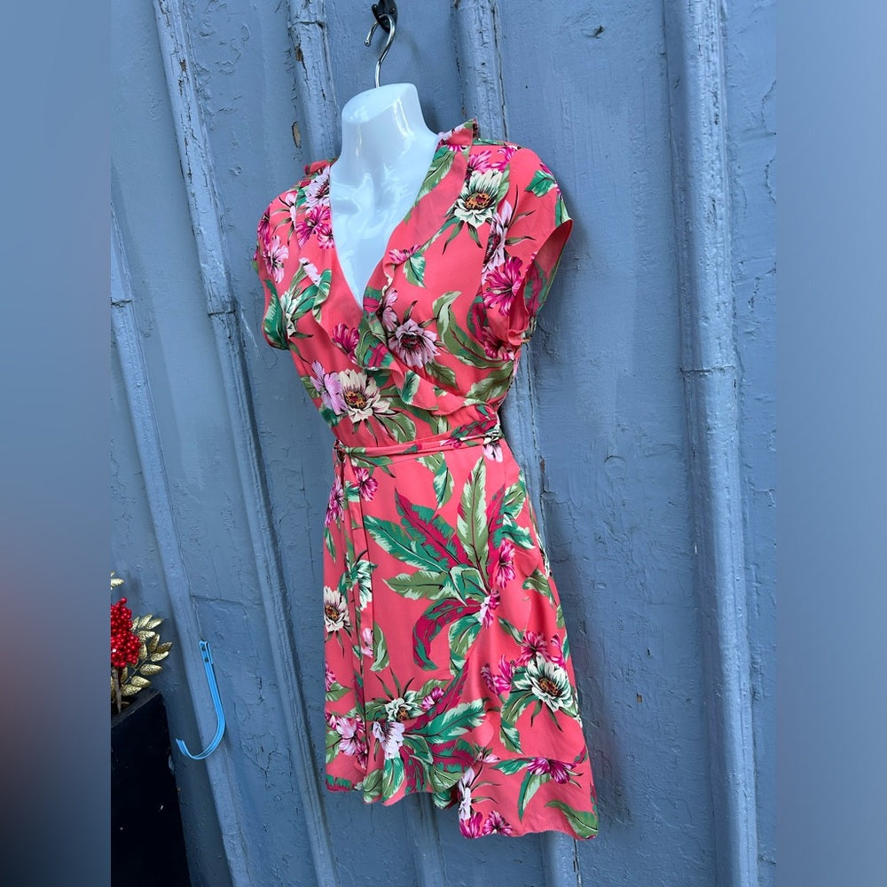 Aritzia Sunday Best Savoy Dress Gemini pink. size 6