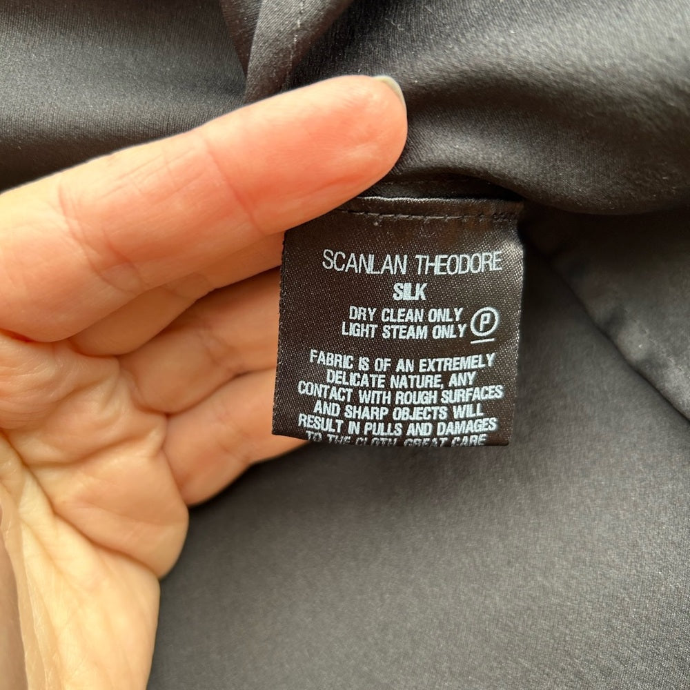 Scanlan Theodore Silk Blouse, size 10