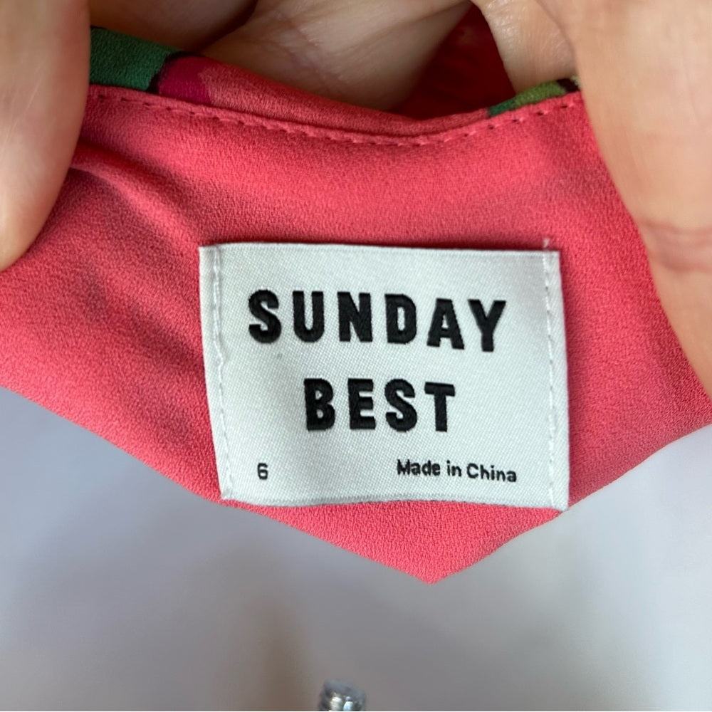Aritzia Sunday Best Savoy Dress Gemini pink. size 6