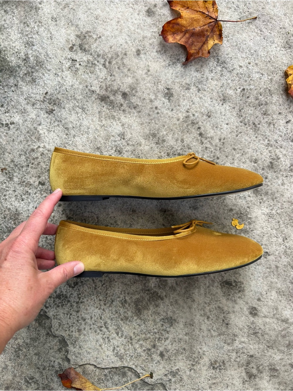Everlane Mustard Yellow Velvet The Day Flats, BNWOB, size 7