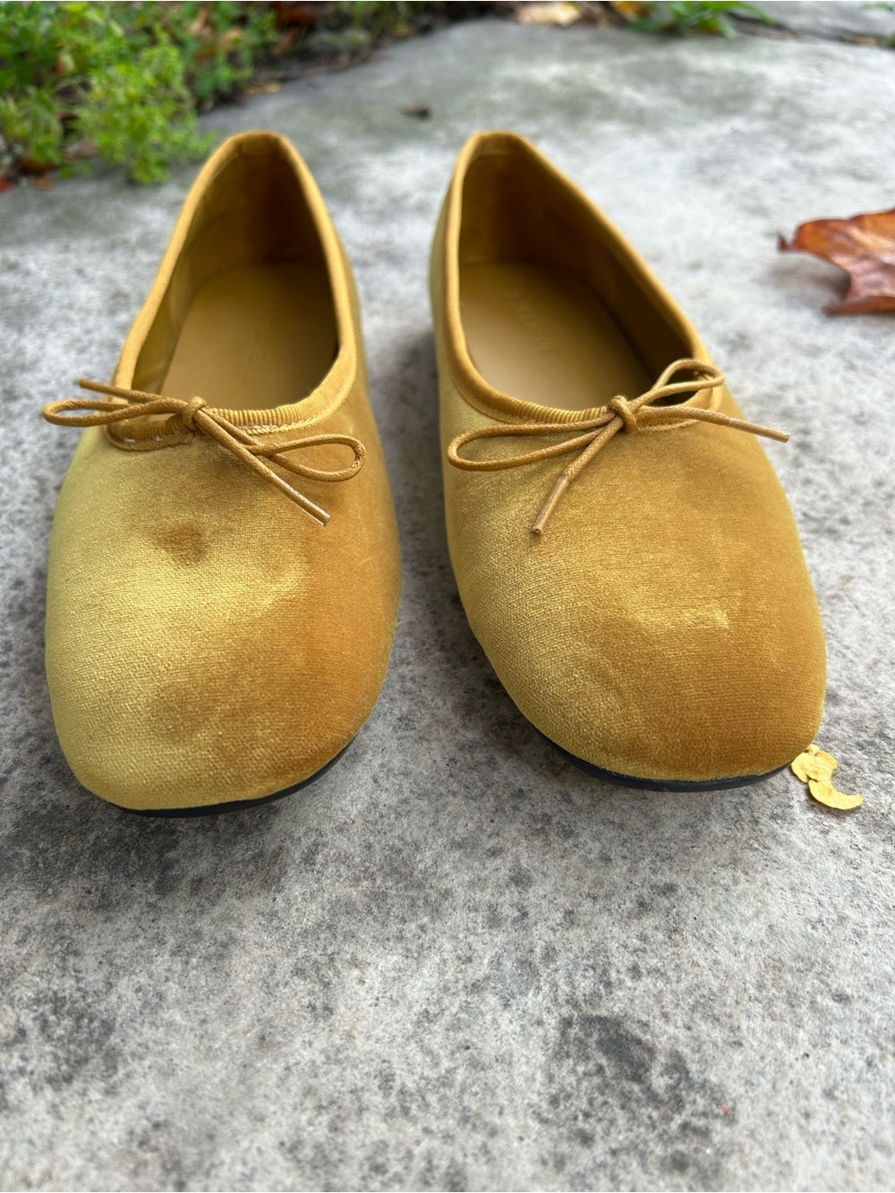 Everlane Mustard Yellow Velvet The Day Flats, BNWOB, size 7