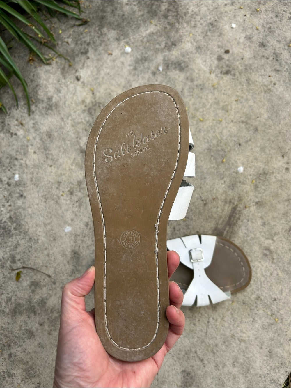 Salt Water Classic Slides, size UK 6 (US8)