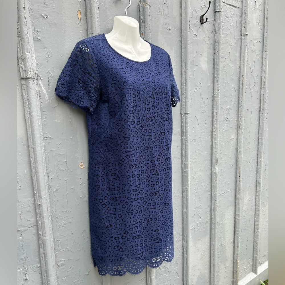 Ann Taylor Lace Shift Dress, Navy, size 10