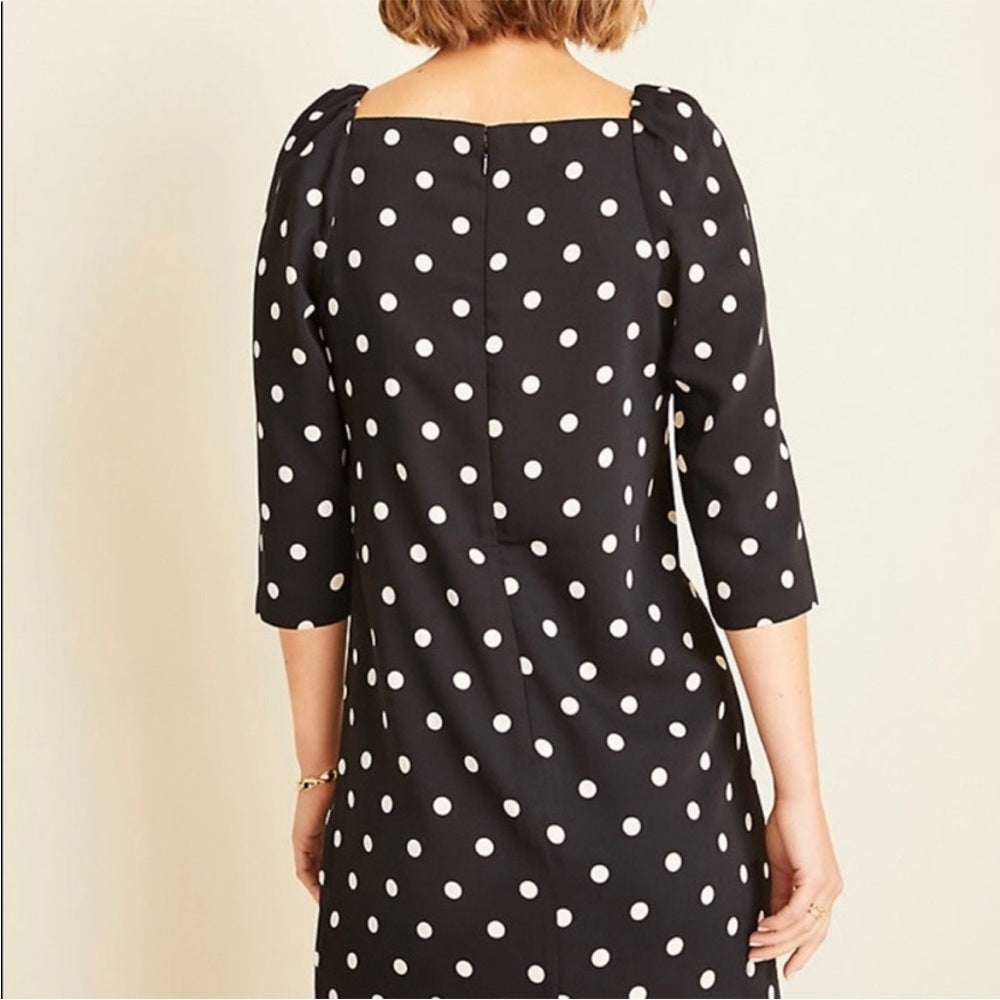 Ann Taylor Polka Dot Dress, size 14