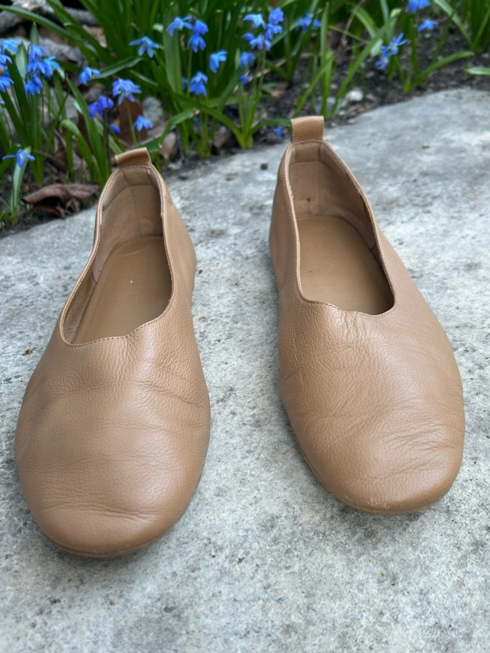 Everlane The Day Glove Leather Ballet Flats in Taupe, Womens Size 8.5