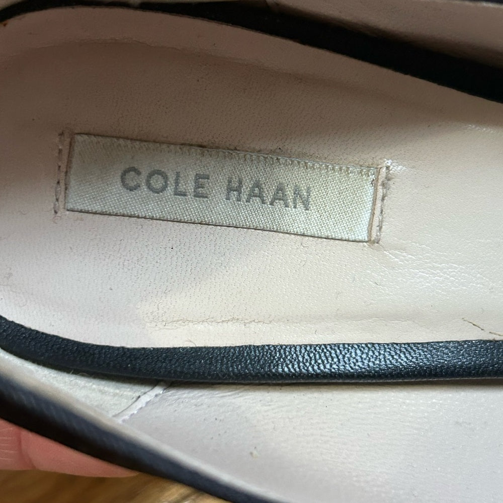 Cole Haan Satin Floral Roses Heel, size 10