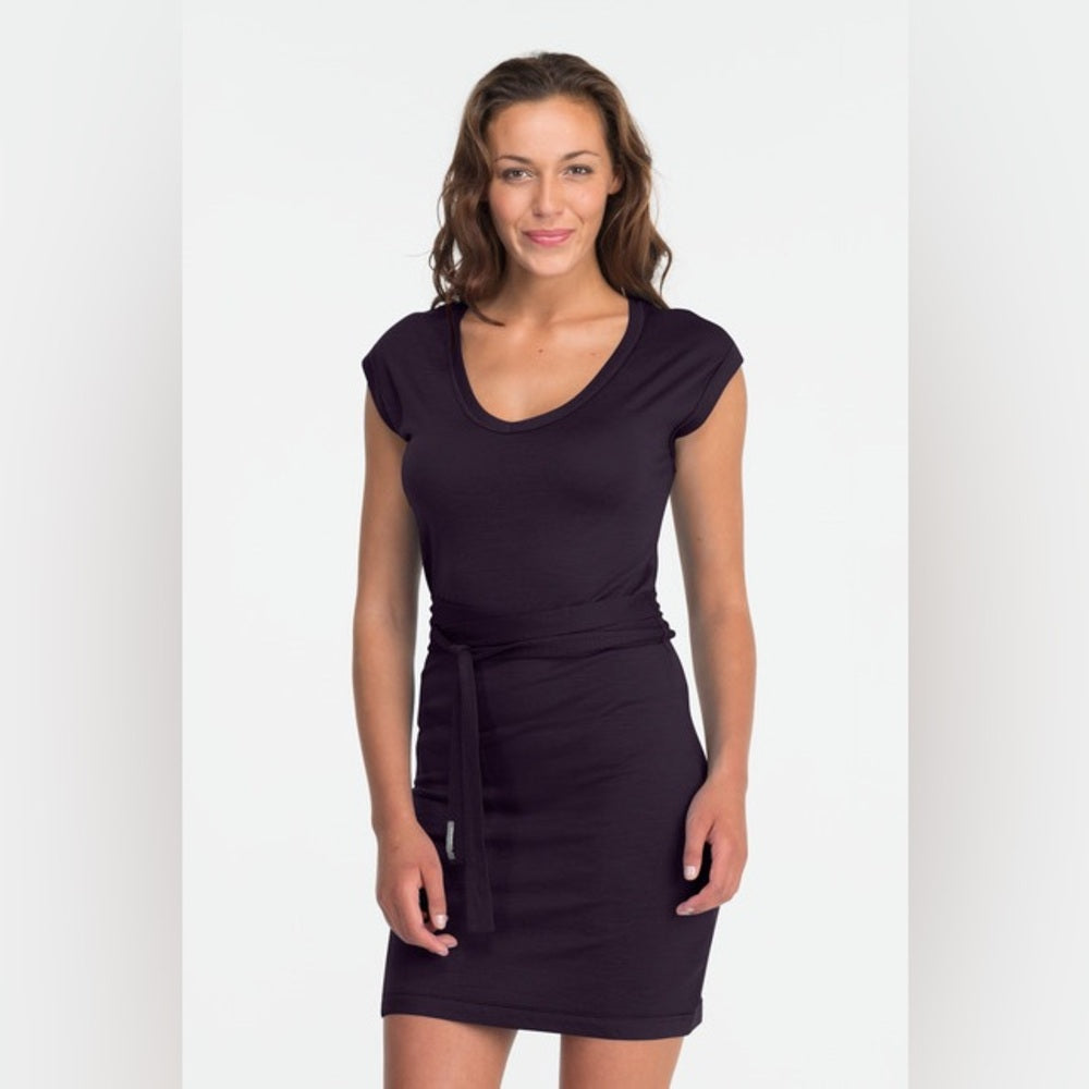 Icebreaker Black Merino Villa Dress, size M