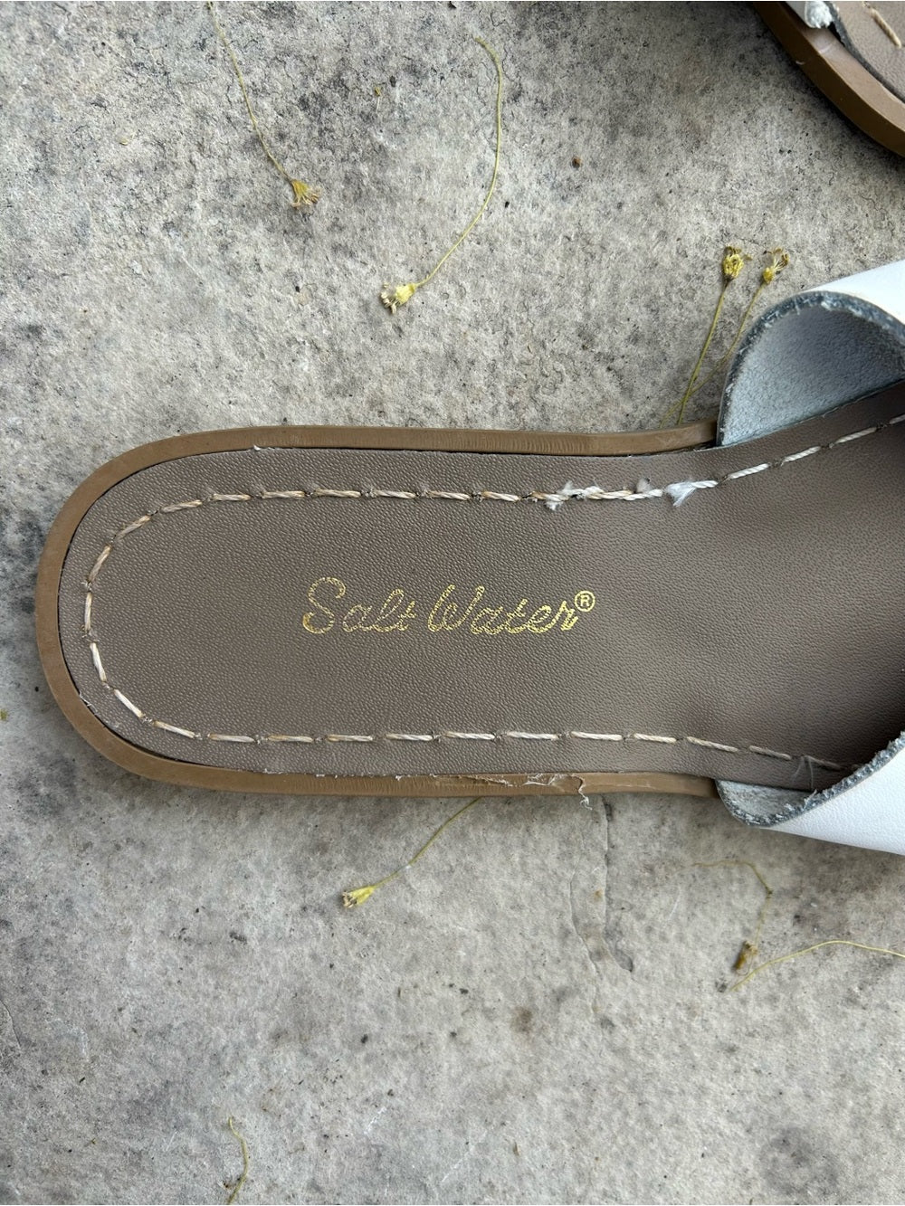 Salt Water Classic Slides, size UK 6 (US8)