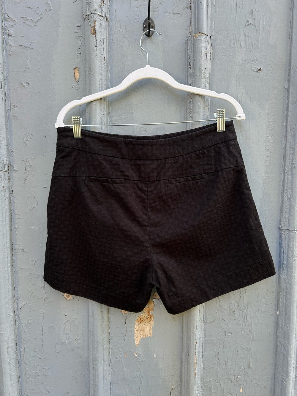 Anthropologie Cartonnier Black shorts, size 8