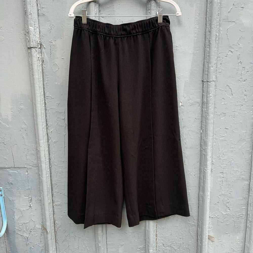 Club Monaco Wide Leg Juliuss Culottes, size 6
