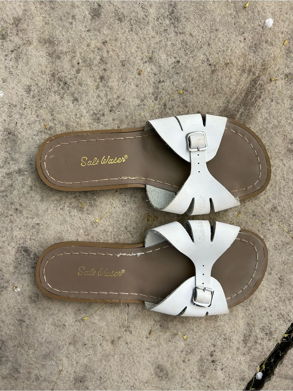 Salt Water Classic Slides, size UK 6 (US8)