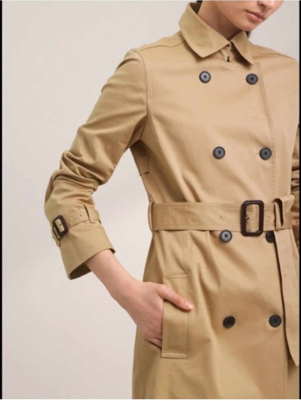 Babaton Santiago Trench, size Small