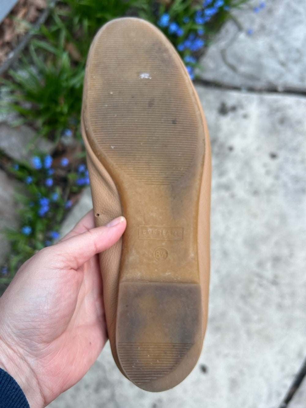 Everlane The Day Glove Leather Ballet Flats in Taupe, Womens Size 8.5