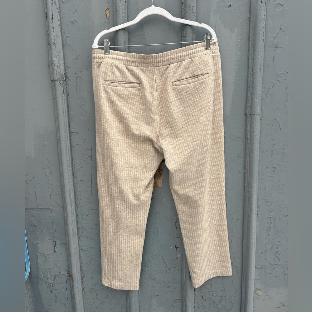 Ann Taylor Loft Taupe Striped Casual Pant (Jogger), size L