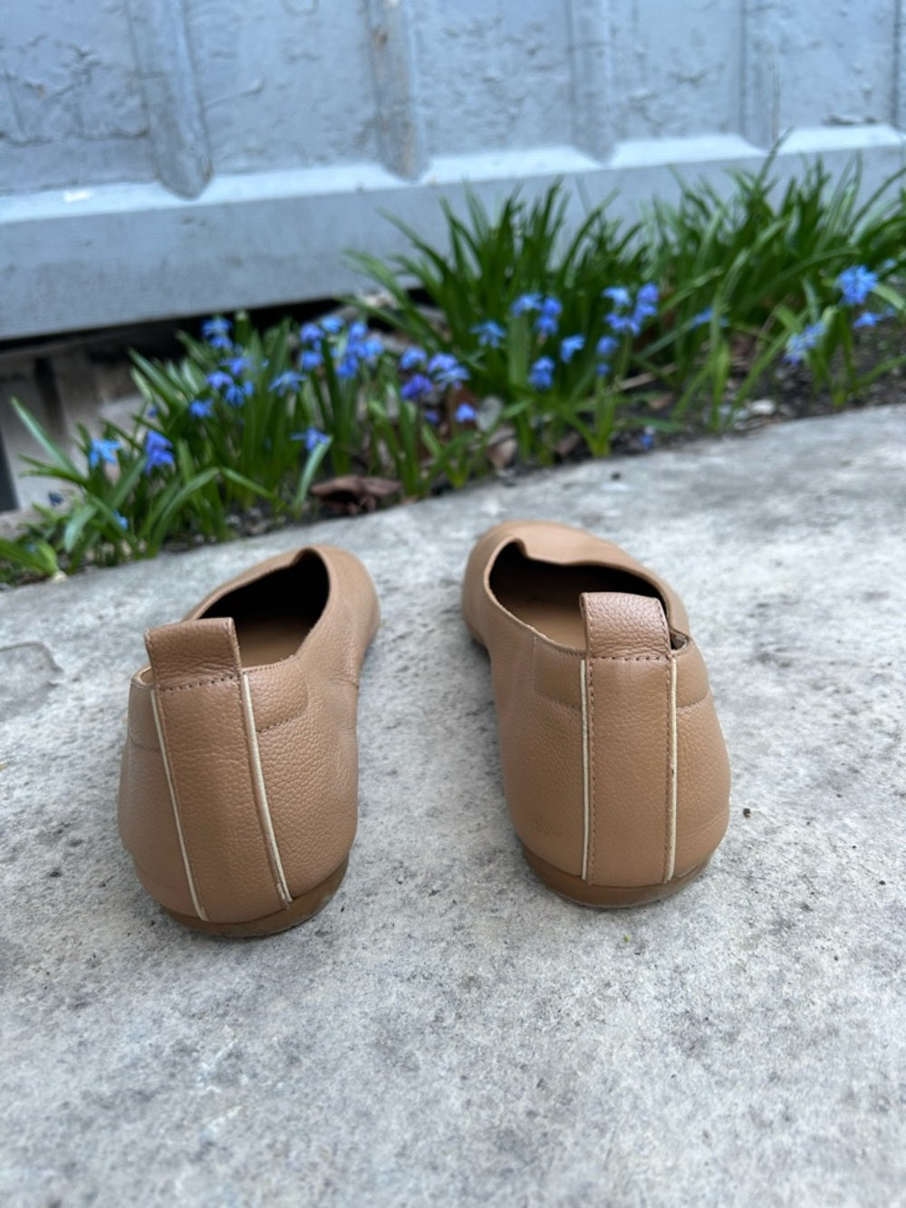Everlane The Day Glove Leather Ballet Flats in Taupe, Womens Size 8.5