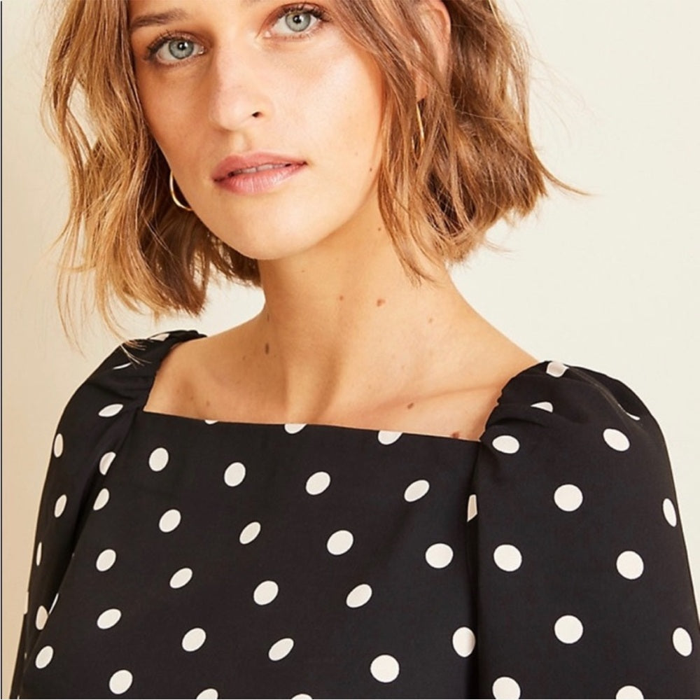 Ann Taylor Polka Dot Dress, size 14