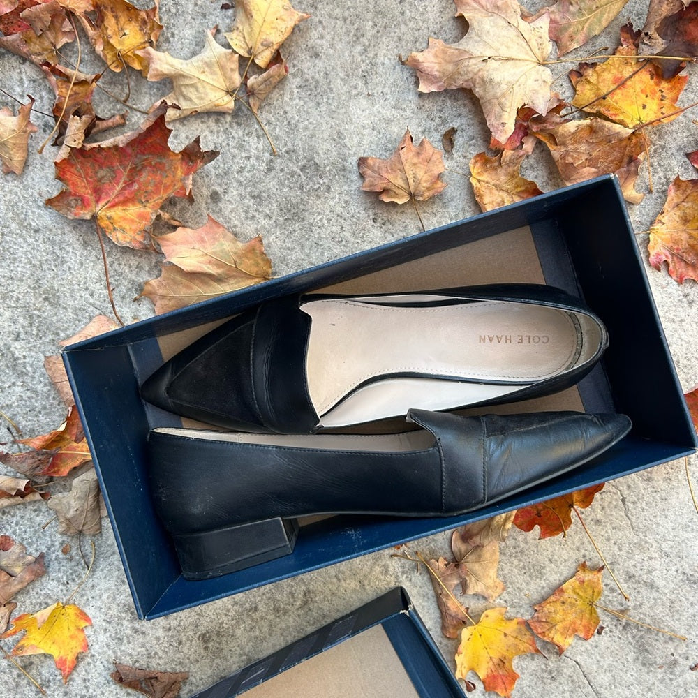 Cole Haan Marlee Skimmer flats, size 9.5
