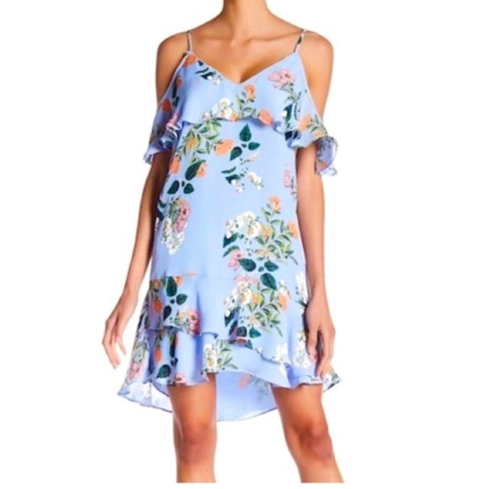 Parker Blue Floral Daphne Dress, BNWT, M