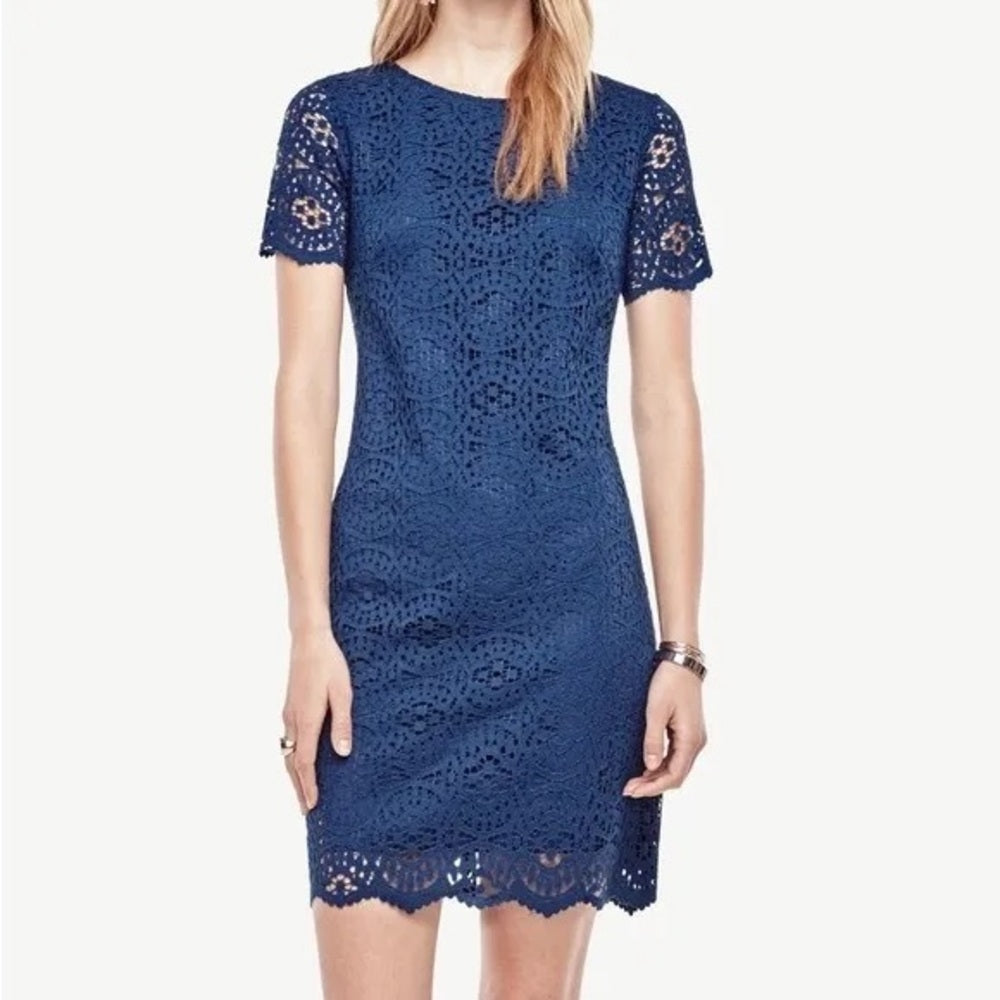 Ann Taylor Lace Shift Dress, Navy, size 10