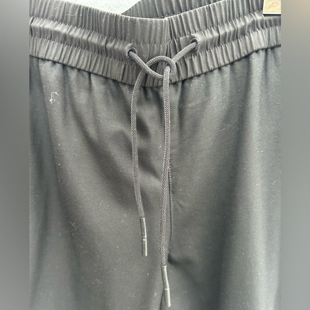 Kit & Ace Wool, Cashmere, Silk pants, size 6