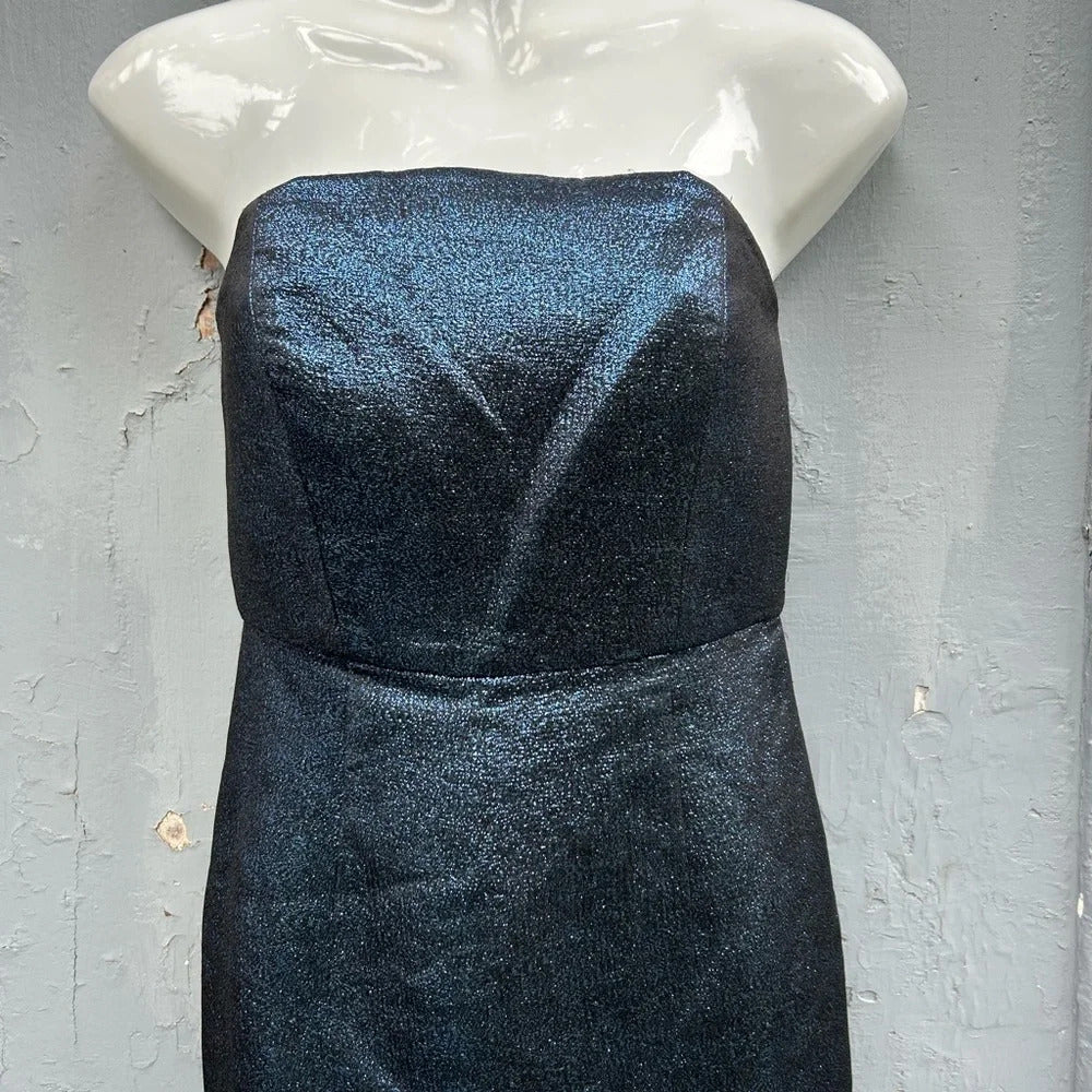 Tibi Strapless  Metallic Dress, size 4