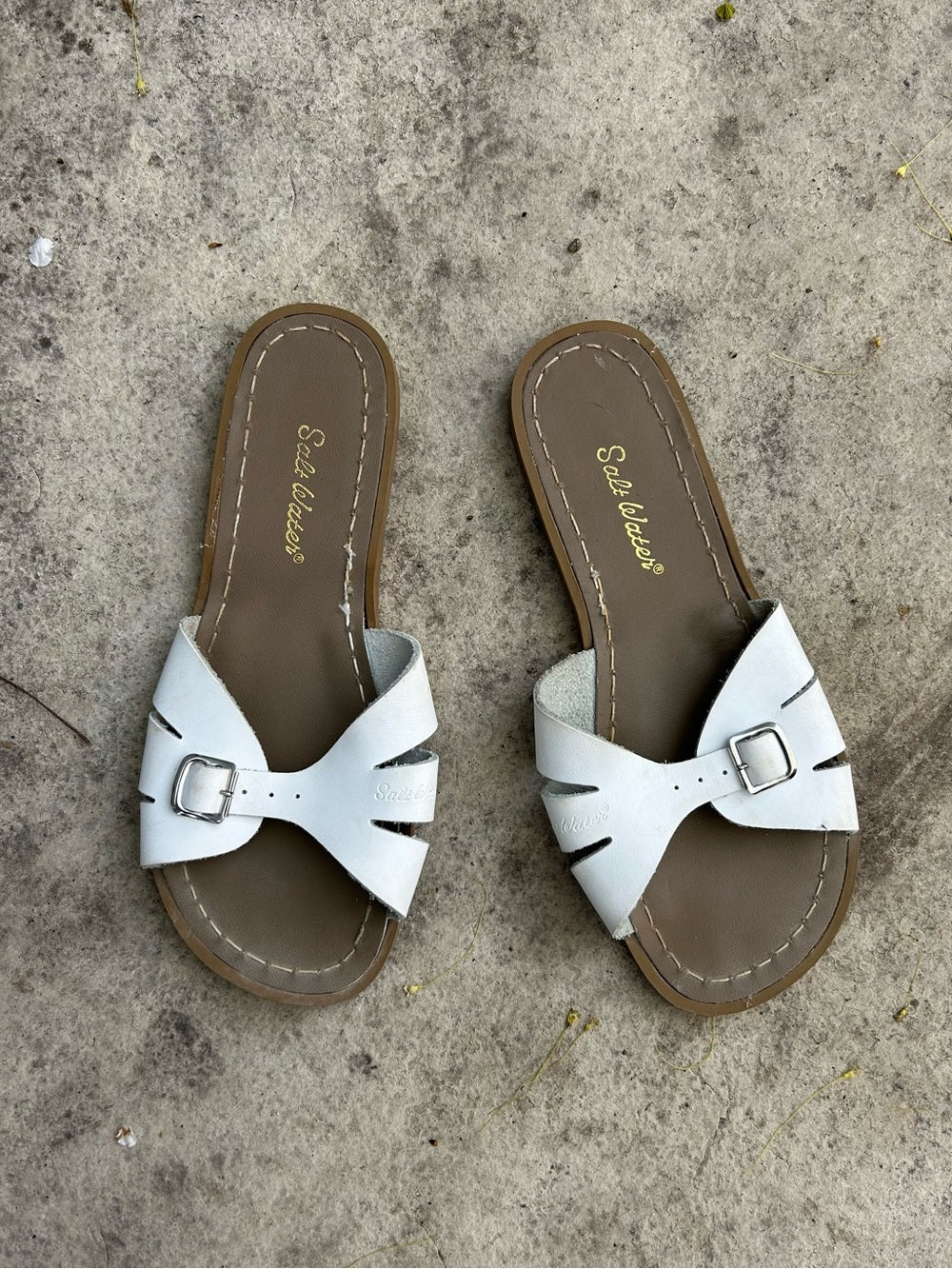 Salt Water Classic Slides, size UK 6 (US8)