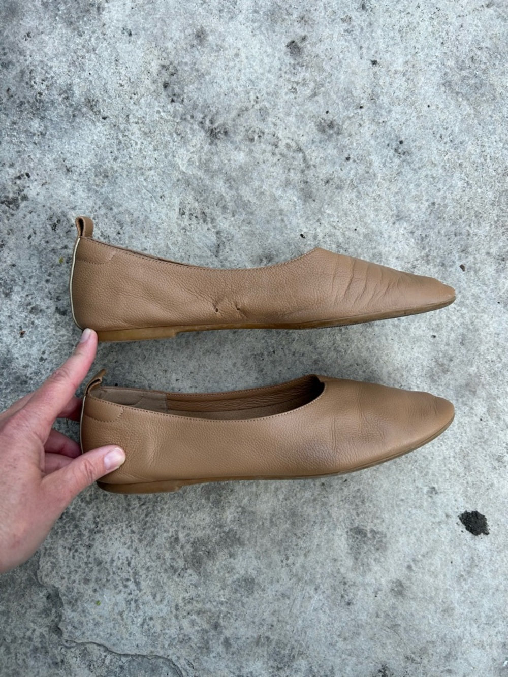 Everlane The Day Glove Leather Ballet Flats in Taupe, Womens Size 8.5