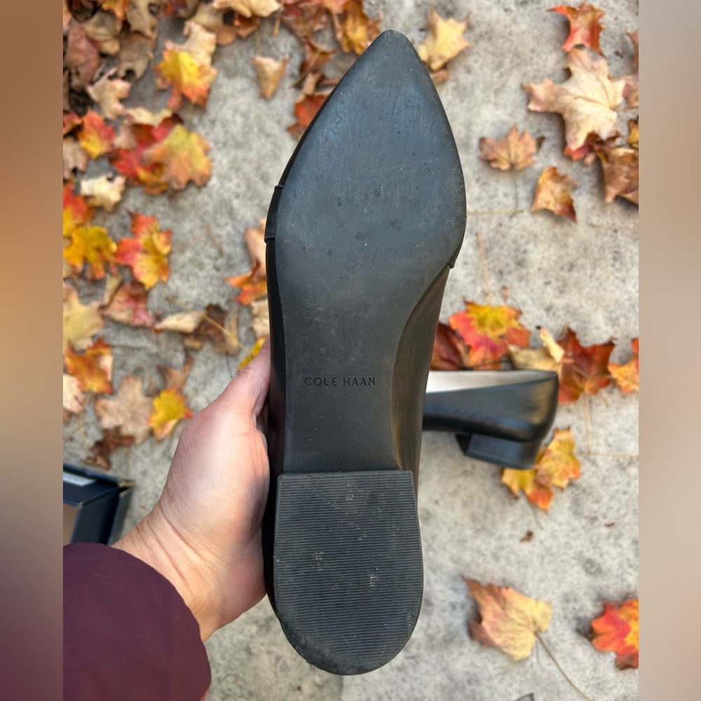 Cole Haan Marlee Skimmer flats, size 9.5