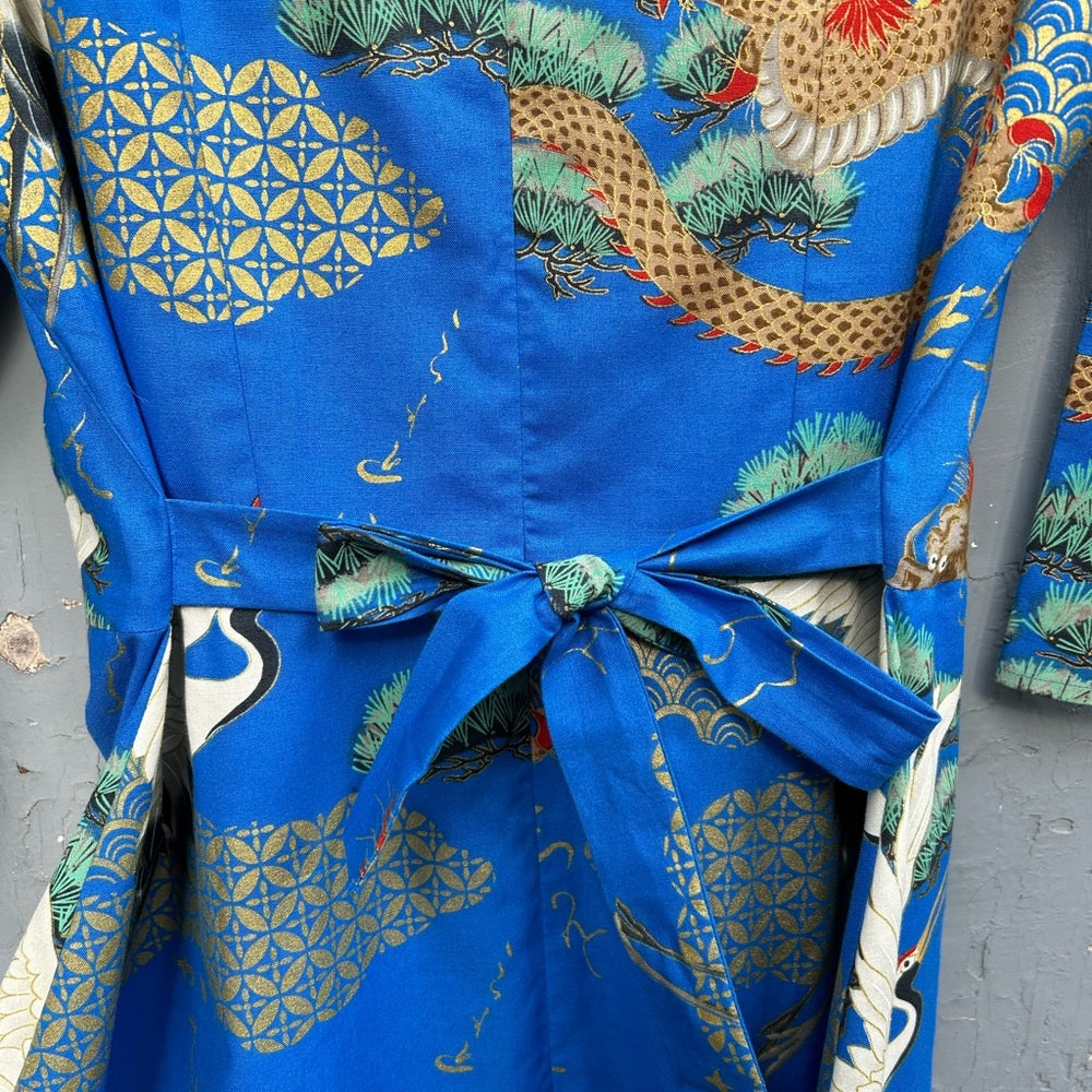 Moixa Chinoiserie Style Dress, size xxl (**US 8/10)