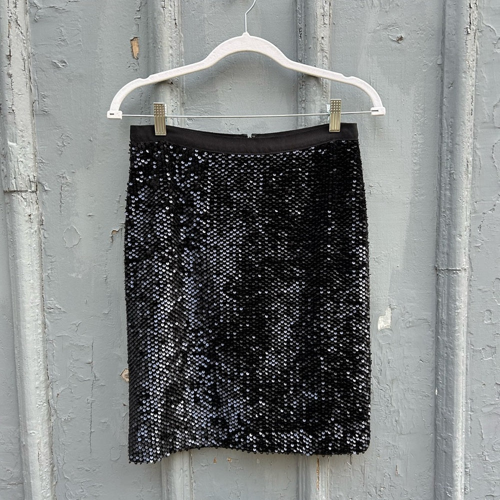 Ann Taylor Sequin Skirt, size 2P