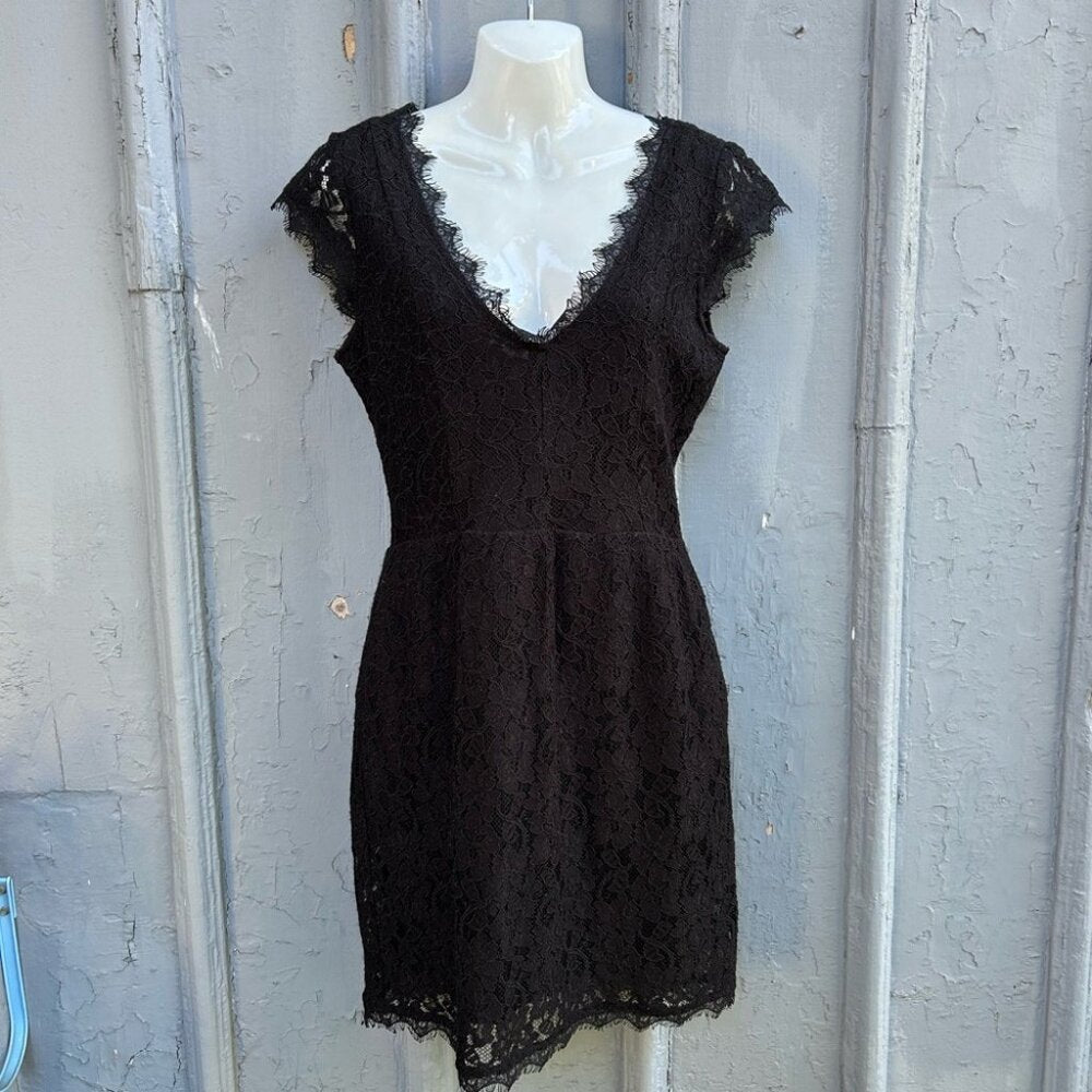 Babaton Aritzia Tobias Eyelash Lace Dress, size 6