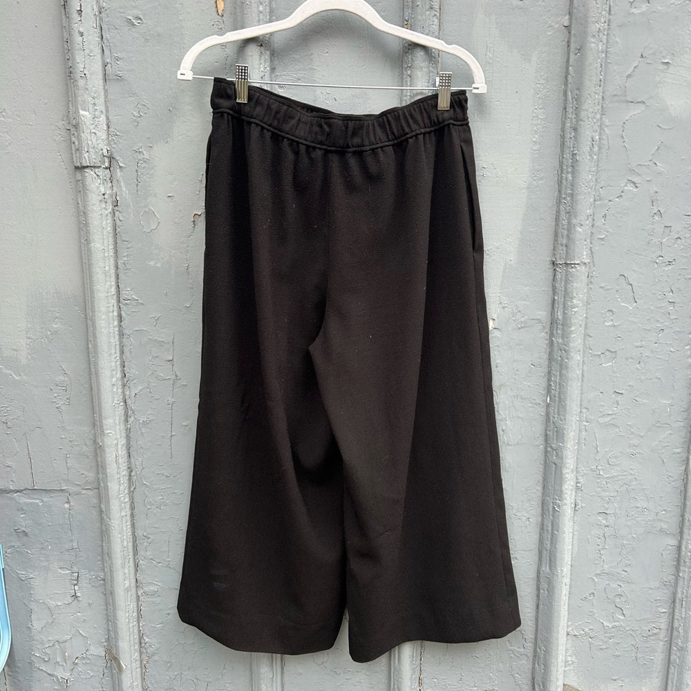 Club Monaco Wide Leg Juliuss Culottes, size 6