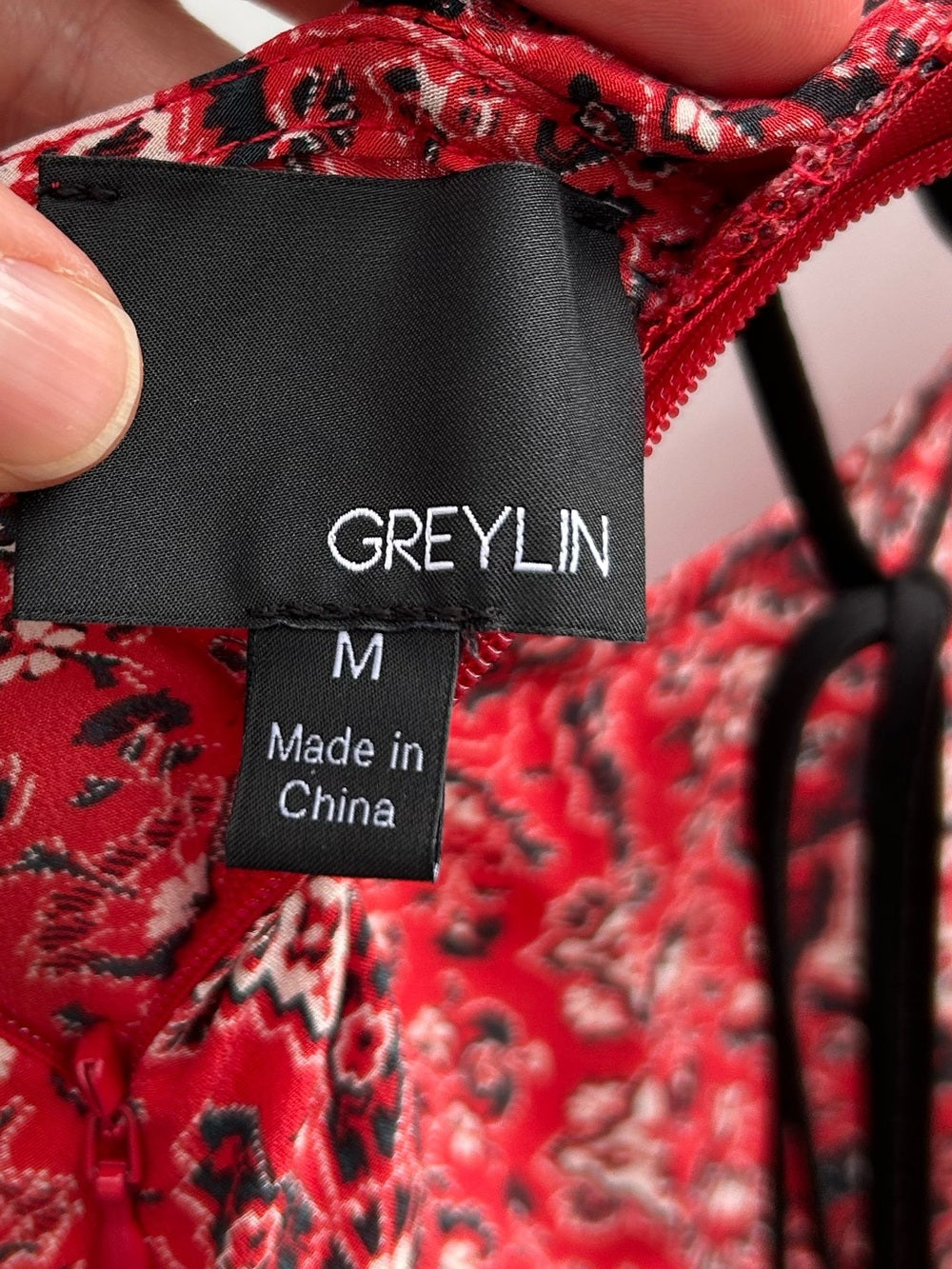 Greylin Red Paisley Silk Maxi dress, size M