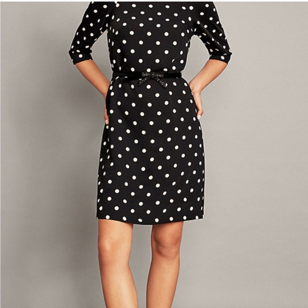 Ann Taylor Polka Dot Dress, size 14