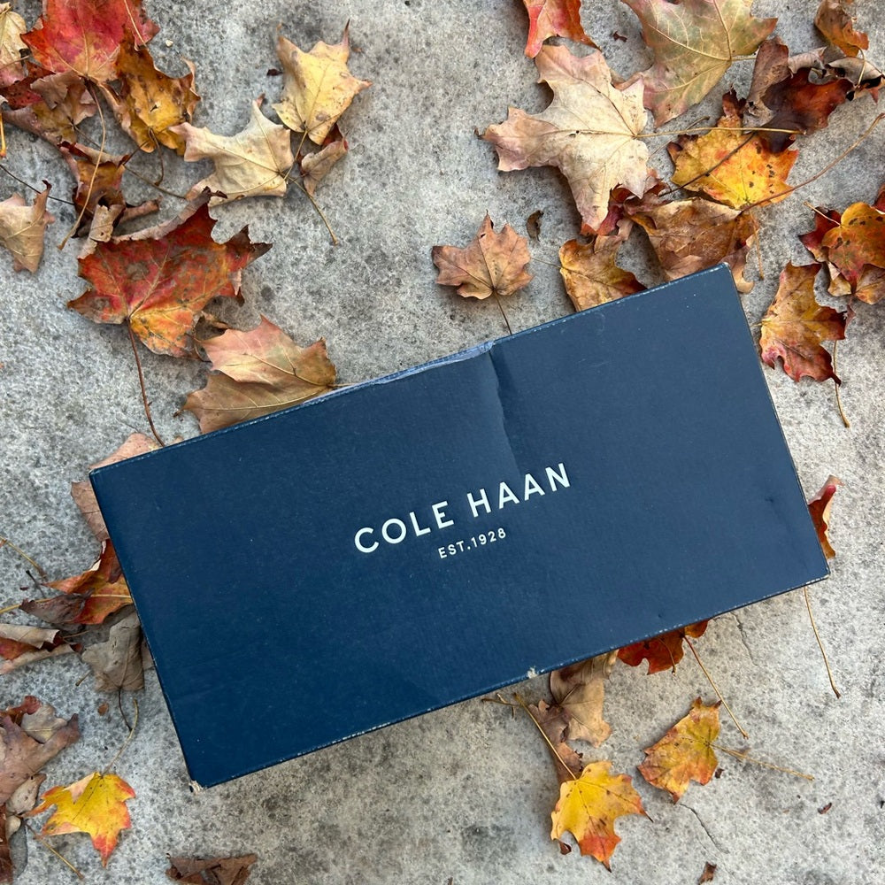 Cole Haan Marlee Skimmer flats, size 9.5