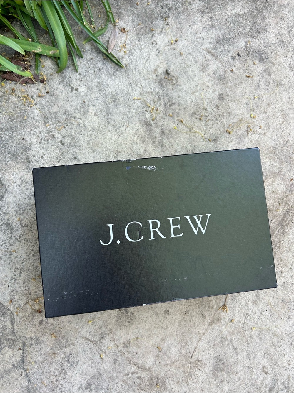 J. Crew Valentina Metallic Silver pumps, BNIB, size 7.5