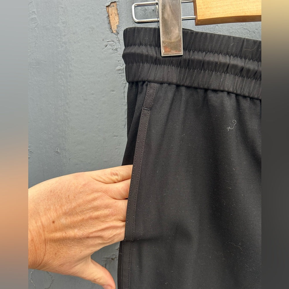Kit & Ace Wool, Cashmere, Silk pants, size 6