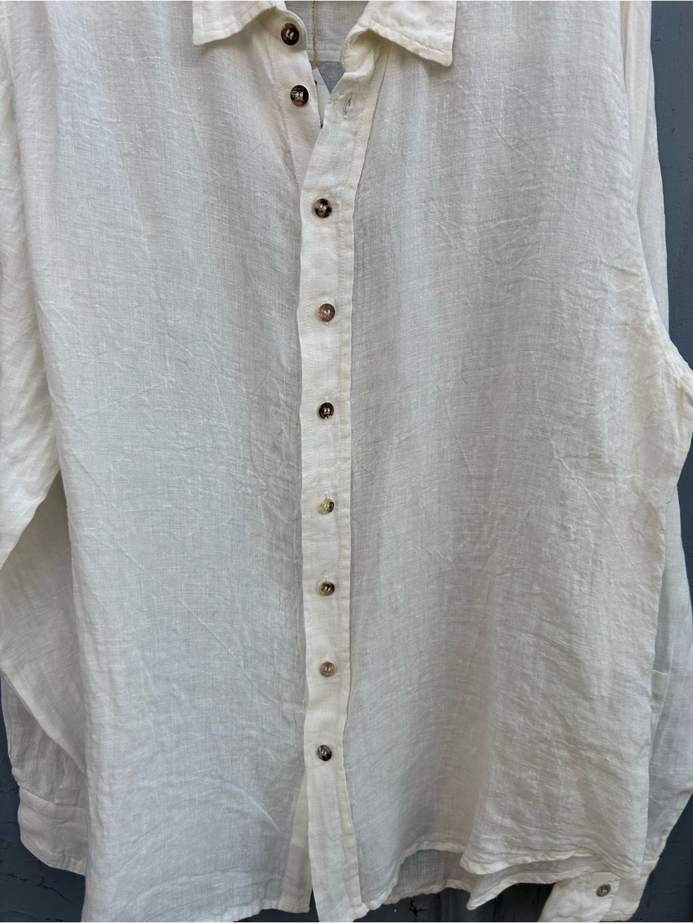 La Bottega di Brunella Camica Franco Button Down Blouse, BNWT, size L