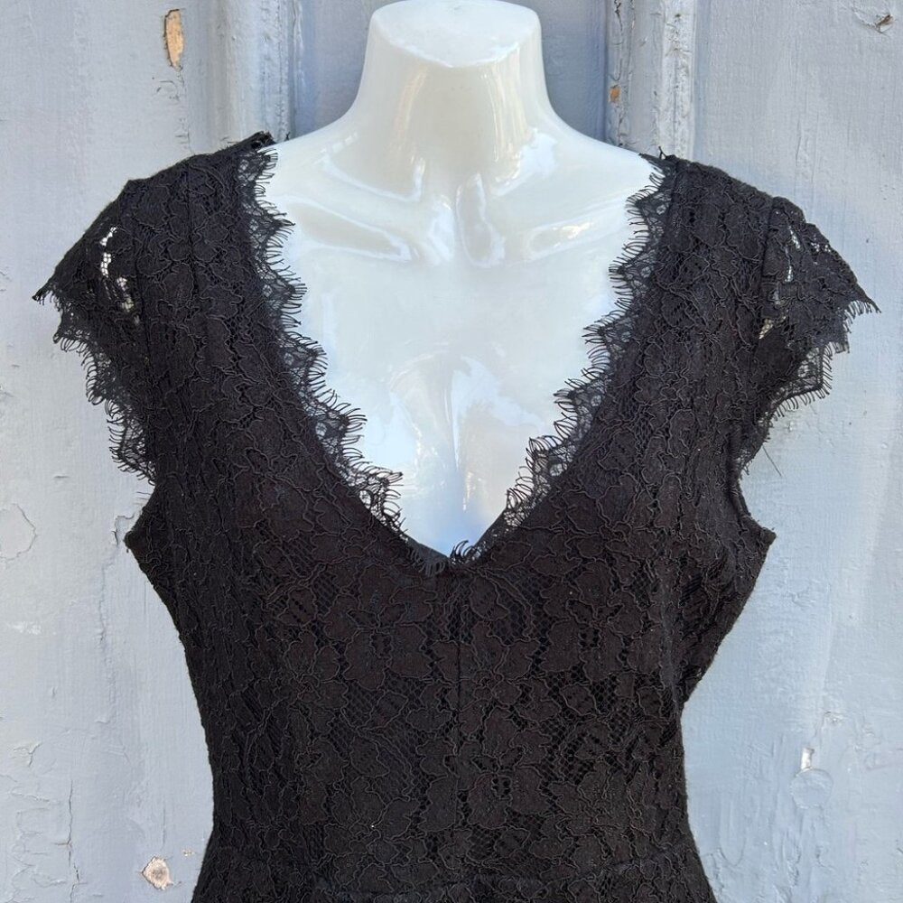 Babaton Aritzia Tobias Eyelash Lace Dress, size 6