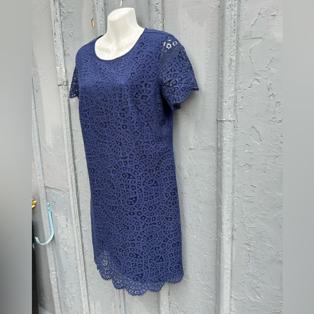 Ann Taylor Lace Shift Dress, Navy, size 10