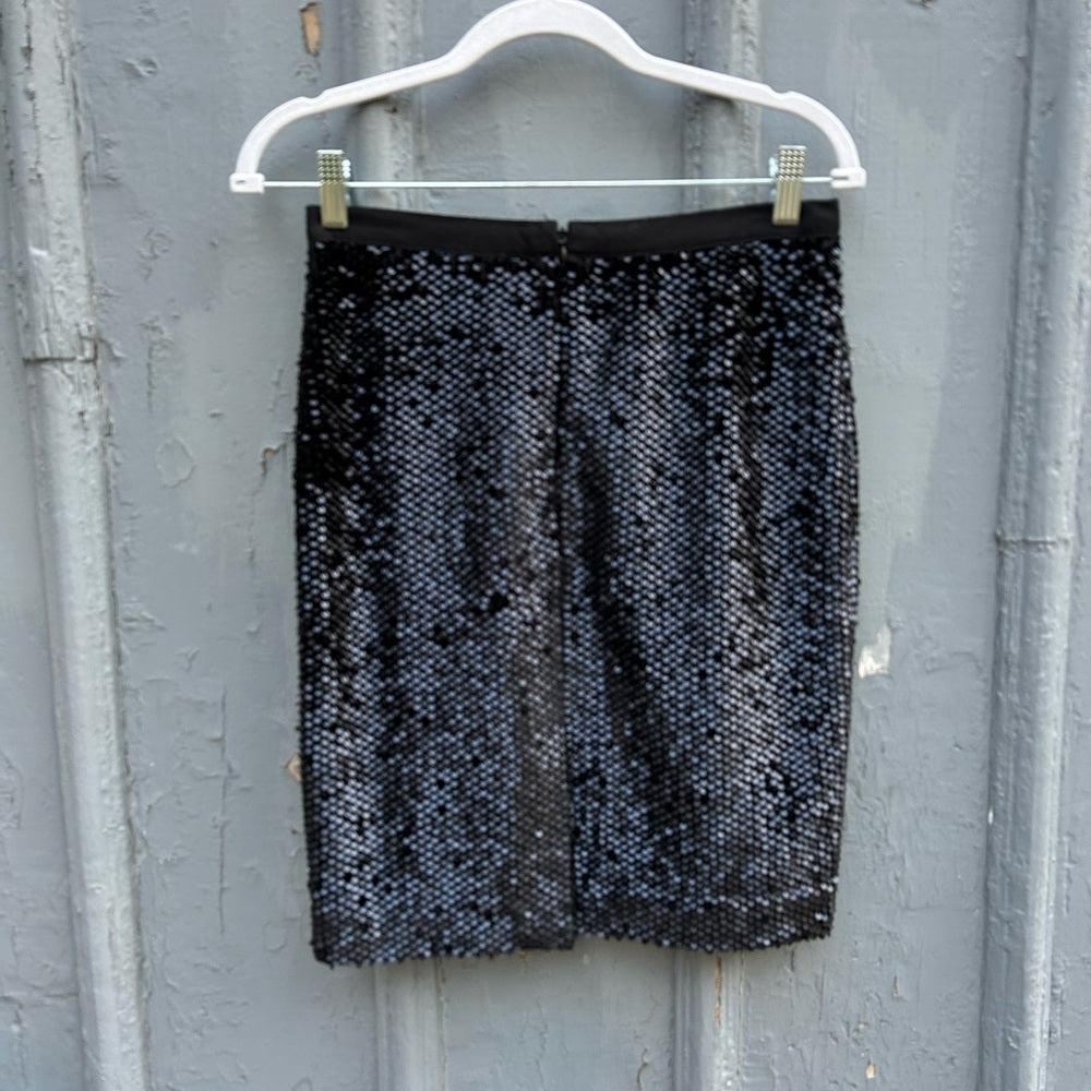 Ann Taylor Sequin Skirt, size 2P