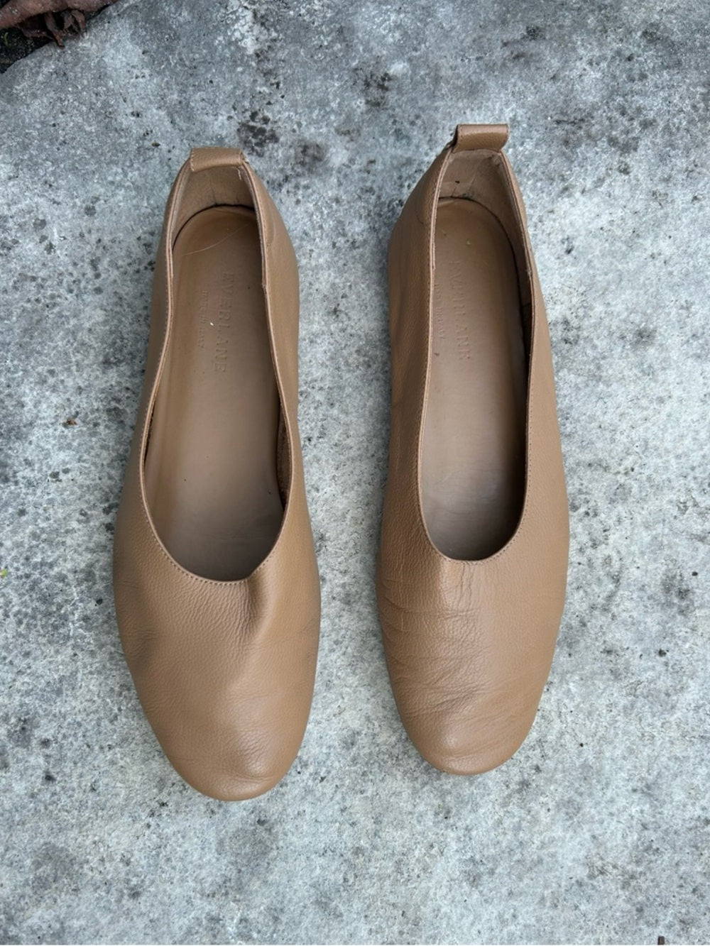 Everlane The Day Glove Leather Ballet Flats in Taupe, Womens Size 8.5